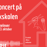 Huskoncert med violinelever