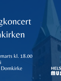 Koncert med musikskolens messingelever i Helsingør Domkirke