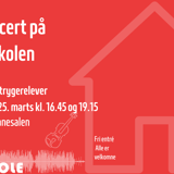 Huskoncert strygere - de ældre