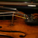 Violin, Suzuki