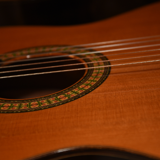 Guitar Guitar
